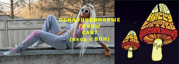 сатива Лихославль