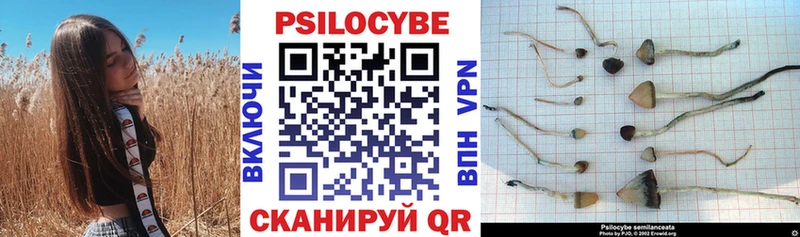 Псилоцибиновые грибы мухоморы Старый Крым